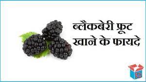 picture Cranberry Blackberry Fruit In Hindi