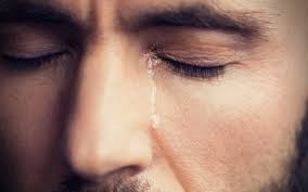 Saka Arsip Kontributor Kita