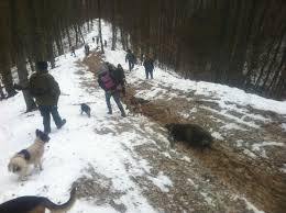 2k views · october 13, 2019. Permisul De VanÄƒtoare Va Fi Acordat Mult Mai UÈ™or DespÄƒgubirile Mult Mai Greu AÈ™a Cum A Vrut Psd Legea Merge La Iohannis Spotmedia Ro