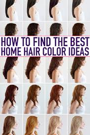 The Best At Home Hair Color Box Hair Dye At Home Hair Color Boxed Hair Color