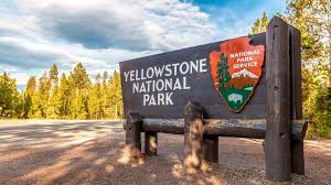 Yellowstone national park is an american national park located in the western united states, largely in the northwest corner of wyoming and extending into montana and idaho. Bear Injures Hiker At Yellowstone National Park Cnn