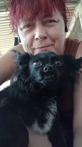 How can I get my stolen dog back from the Humane Society of the Pikes Peak  Region?