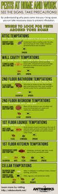 Check if allaboutants.net is down or having other problems. Wander Where You Can Find Pests In Your Home Check Out This Infographic For Vancouver Pests Antworks Pest Control 13504 Ne Pest Control Pests Gardening Tips