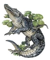 Kopi luwak, the world's most expensive coffee, is made from a certain variety of wild red coffee beans but only after it has passed through the digestive track of the asian palm civet. Justin Mensinger Justinmensinger Profile Pinterest