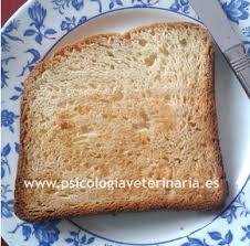Pin En Sin Gluten