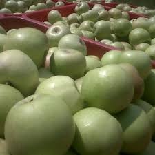 Buah impor merupakan buah yang berasal dari luar negeri. Ini Dia 9 Buah Impor Favorit Indonesia
