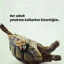 Aynen Her Sabahki Hasim Komik Resimler Mizah