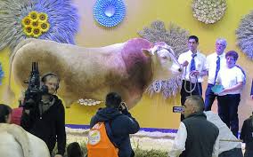 Les champions du salon de l'agriculture. Salon De L Agriculture Trois Prix Au Concours General Agricole Remportes Par Un De Nos Eleveurs
