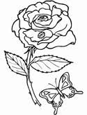 Butterfly Coloring Pages Page 2 Large selection of free butterfly coloring pages and butterfly drawings! coloring pages for kids