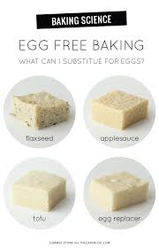 Any bean could be used, like cannellini beans for a yellow cake and black beans are great for chocolate cakes and brownies, but cannellini beans can be used for lighter colored products like yellow cakes. Egg Free Baking The Cake Blog
