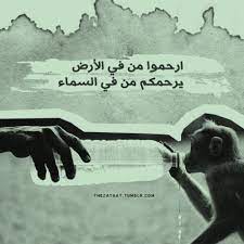 صور حكم اسلاميه صور مواعظ اسلاميه صور امثال اسلاميه movie posters dream images poster