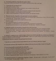 Nu se desparte la capăt de rând pe cratima cu rol fonetic (ex. PunctuaÈie Èi Ortografie ExerciÈii Brainly Ro