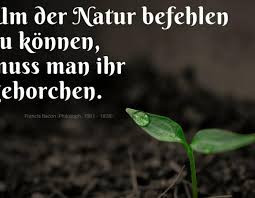 Bauernstand Ist Ehrenstand Zitate Zur Landwirtschaft Agrarheutecom