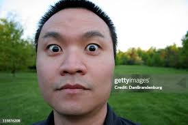 1,254 Dan Stern Stock Photos, High-Res Pictures, and Images