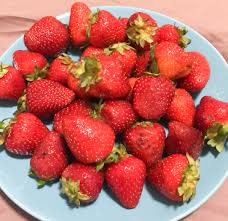 How many cups are in a gallon? Me Every Day Since Finding Out How Many Calories Strawberries Have Lol 100g 33 Cal 1200isplenty
