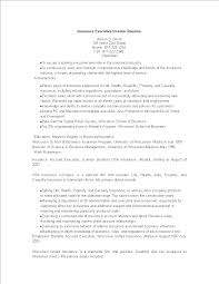The construction of such a. Kostenloses Insurance Executive Director Resume