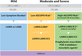 Image result for COPD Exacerbation Decision Tool