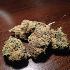 Jamaican Marijuana Strain Information Leafly