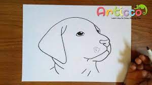 Begin by an idea of what kind of dog do you want to draw whether it's a picture of a dogs face or the whole body. How To Draw A Dog Face Step By Step For Kids Youtube