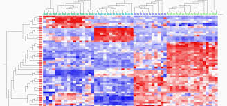 Image result for bioinformatics heatmap