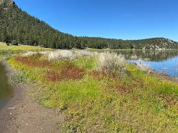 The wyoming game and fish department will be draining cook lake this year to renovate the dam and improve the fishery. Quemado Lake 2021 All You Need To Know Before You Go With Photos Tripadvisor
