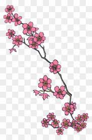A geometric cherry blossom tree tattoo design. Cherry Blossom Tattoo Cherry Blossom Tattoo Designs Free Transparent Png Clipart Images Download