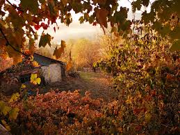 .ama yorumda belirten olursa erkekte yaparım. En Guzel Profil Resmi 2020 23 Adet En Guzel Kiz Profil Resimleri Wupeme