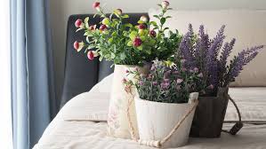 Published july 16, 2018, updated may 15, 2021. These 6 Bedroom Houseplants Will Give You A Better Night S Sleep