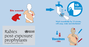 Who Who Announces New Rabies Recommendations