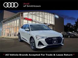 Image result for Siam Beige 2020 Audi