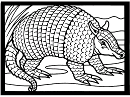 Take your imagination to a new realistic level! Armadillo Coloring Pages Free Coloring Post Hardware