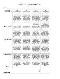 Plant and animal cell project rubric. Plant And Animal Cell Model Grading Rubric