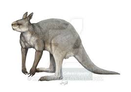 Procoptodon Goliah By Kana Hebi Paleo Art Hebi Paleontology