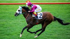 Önemli koşusunu kazanacak tayın sahibi; Gazi Kosusu Nu Call To Victory Kazandi