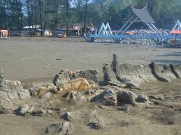 Check spelling or type a new query. Pantai Air Manis Paket Tour Padang Paket Tour Padang Bukittinggi Objek Wisata Di Padang Wisata Kuliner Objek Wisata Di Bukittinggi Wisata Padang Wisata Padang Panjang