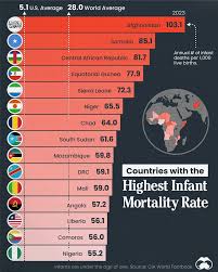 Image result for Mortality Statistics