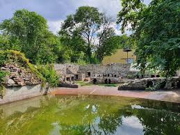 Ciekawe atrakcje płock z pewnością przypadną do gustu nawet najbardziej wymagającym turystom. Zoo Plock Aufnahme Von Zoo Plock Tripadvisor