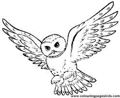 Harry potter pages to color. Flying Owl Coloring Page Owl Coloring Pages Owls Drawing Bird Drawings