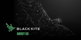 About Black Kite - A Cyber Risk Management & Assessment Company