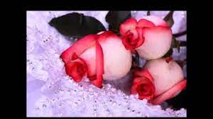 Zainstaluj tę aplikację na androida i dziel się piosenkami z okazji urodzin free to your love and mom. Dla Ciebie Mamo Z Okazji Urodzin Youtube