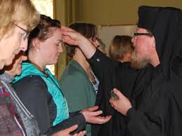 2015-2016 Stewardship Report