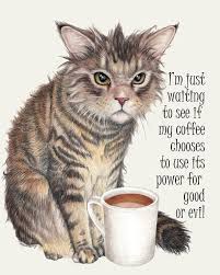 Coffee Cat Quote 8 X10 Print From My Original Drawing In 2020 Cat Coffee Cat Quotes Cats