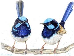 Fairy Wrens Bird Watercolor Painting Print In Sizes 5x7 8x10 And 11x14 Watercolor Bird Folk Art Painting Bird Watercolor Paintings