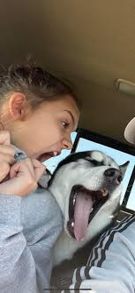 VOLK #14 birthday!!!💛🍰🥩