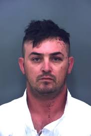 Man accused of striking, killing man, dog in Upper Valley claims he wasn't  driving the ve