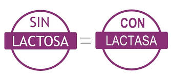 Resultado de imagen de LECHE SIN LACTOSA