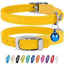 Personalized leather cat collar safety kitten collars with elastic strap bell. Collardirect Leather Cat Collar Cat Safety Collar With Elastic Strap Kitten Collar For Cat With Bell Black Blue Red Orange Lime Green Buy Online In Bahamas At Bahamas Desertcart Com Productid 47730381
