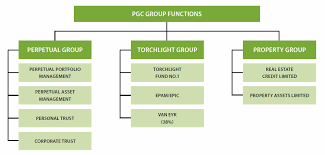 Transparency For Pgc Company Structure