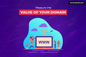 How To Measure The Domain Value Why Is It Important In 2020 Online Branding Domain Web Development