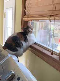 Десятки тысяч наименований — это масштаб, в котором работает аксон. Udobno Nablyudat Pikabu